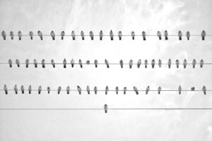 筋トレを習慣化できるパーソナルジムの選び方は？