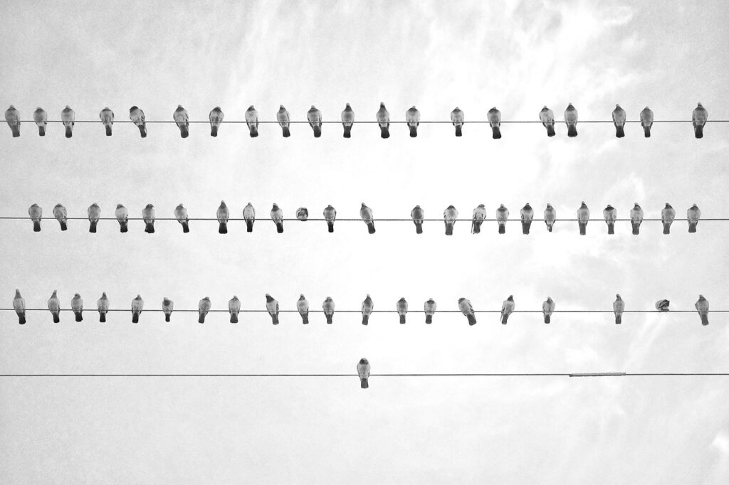 筋トレを習慣化できるパーソナルジムの選び方は？