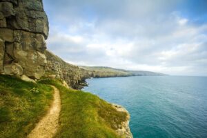 ジムの月額30万は本当に価値ある？