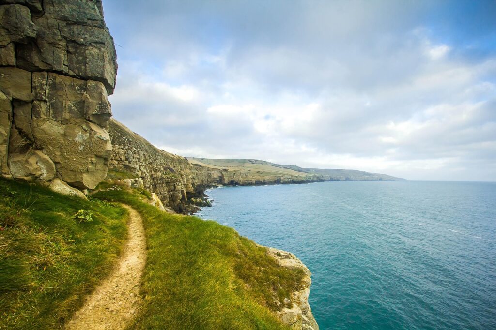 ジムの月額30万は本当に価値ある？