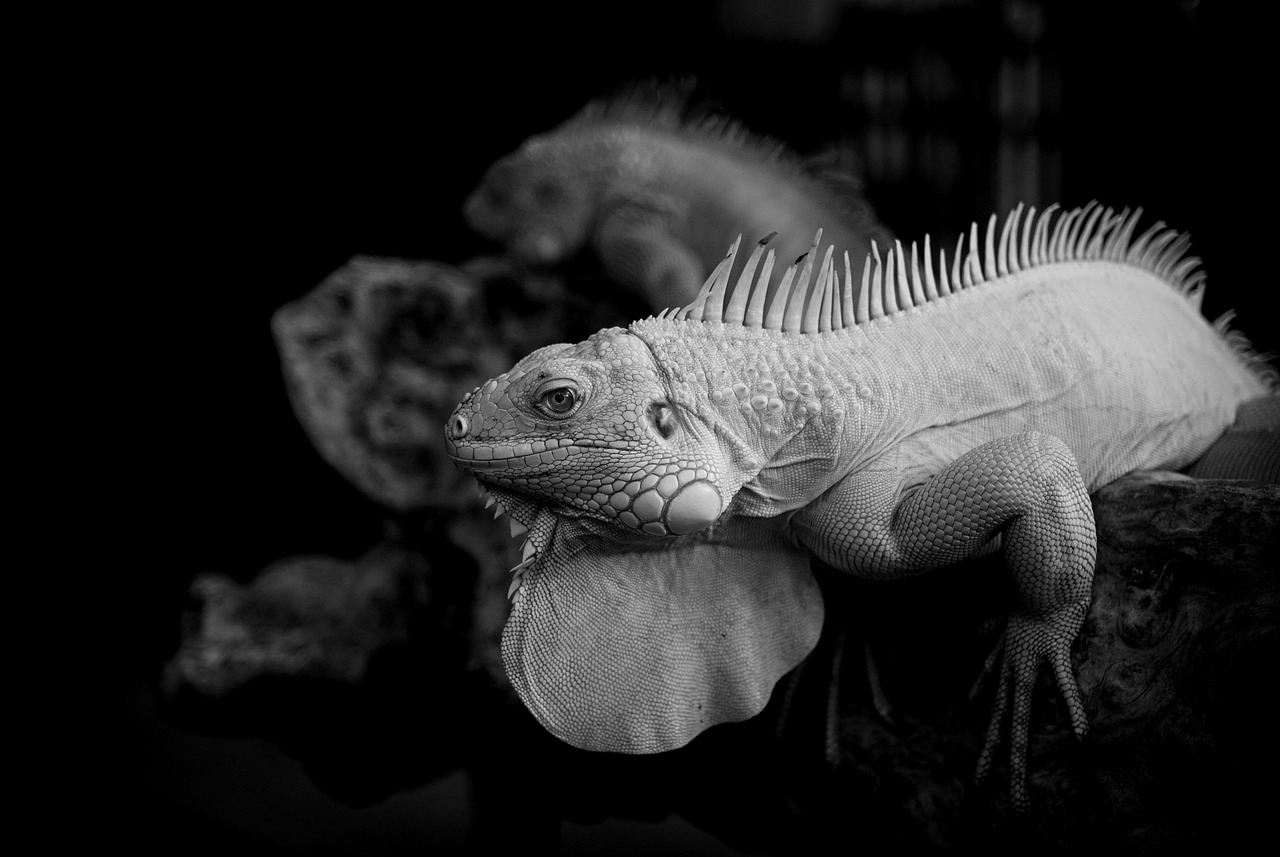 ジムに通うのが高額で続かない人のための対策法は？