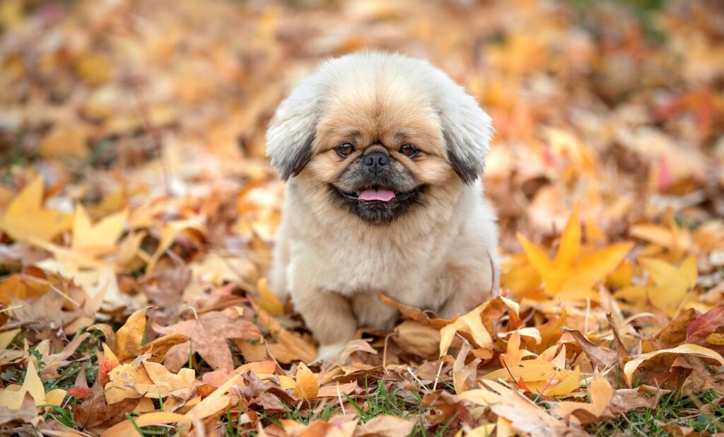 パーソナルトレーニングは高額だけど、その効果は本当？