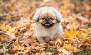 パーソナルトレーニングは高額だけど、その効果は本当？