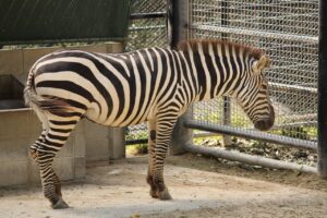 福岡のパーソナルジムで自己肯定感を高めたいならどこがオススメ？