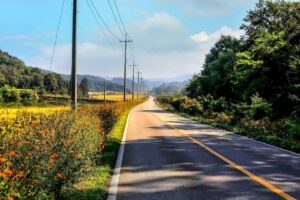 パーソナルジムに行く価値は本当にあるのか？