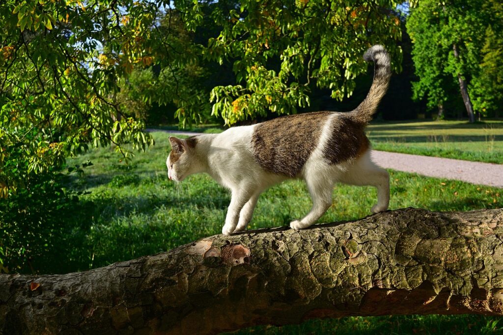 パーソナルジムに迷ってるあなたがやめたほうがいい理由は？