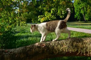 パーソナルジムに迷ってるあなたがやめたほうがいい理由は？